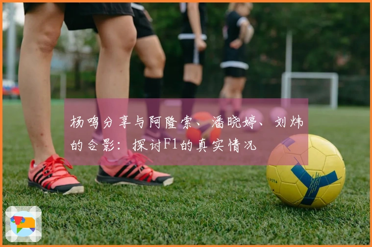 杨鸣分享与阿隆索、潘晓婷、刘炜的合影：探讨F1的真实情况