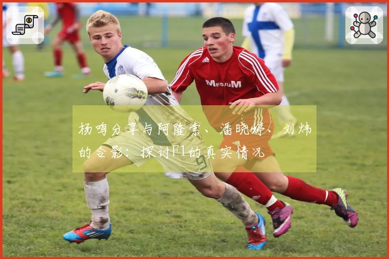 杨鸣分享与阿隆索、潘晓婷、刘炜的合影：探讨F1的真实情况