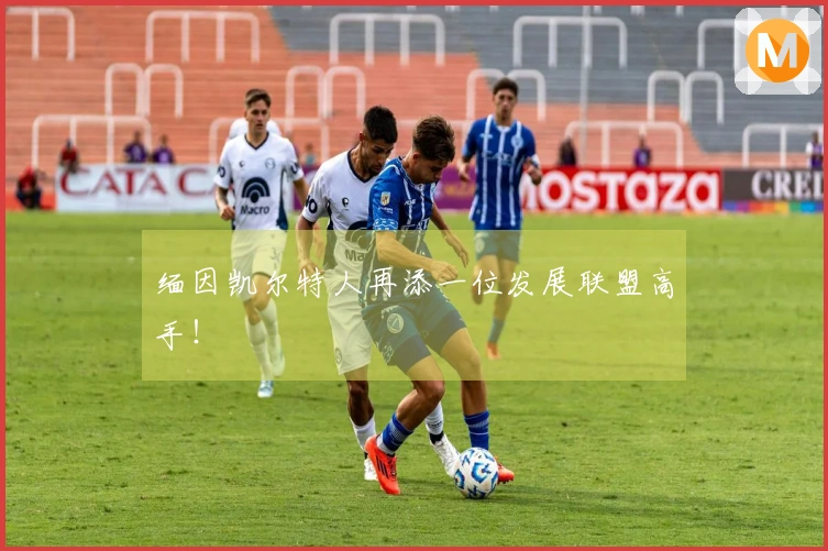 缅因凯尔特人再添一位发展联盟高手！