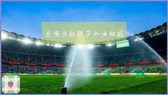 全场为孙颖莎加油助威